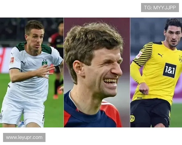 德甲球队球员薪资结构分析